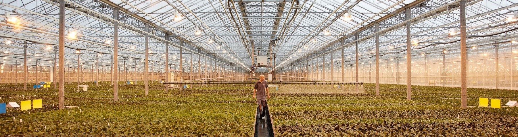 Floricultura / Floricultura Vida E Flores Home Facebook Cultivo de