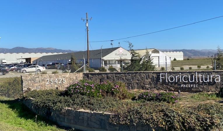 Floricultura Pacific